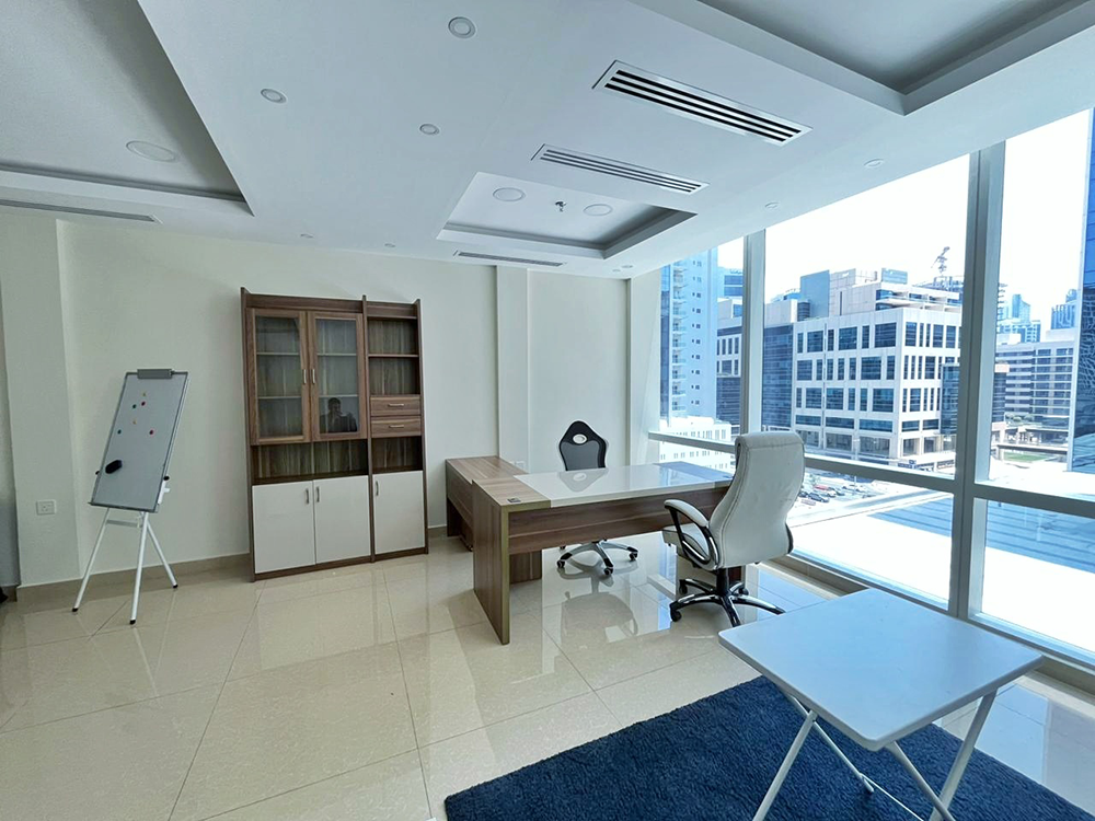 Professional commercial interior